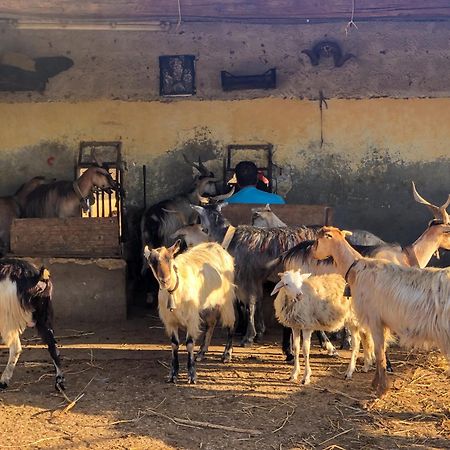Fattoria Manostalla Villa Chiarelli Balestrate Exteriör bild