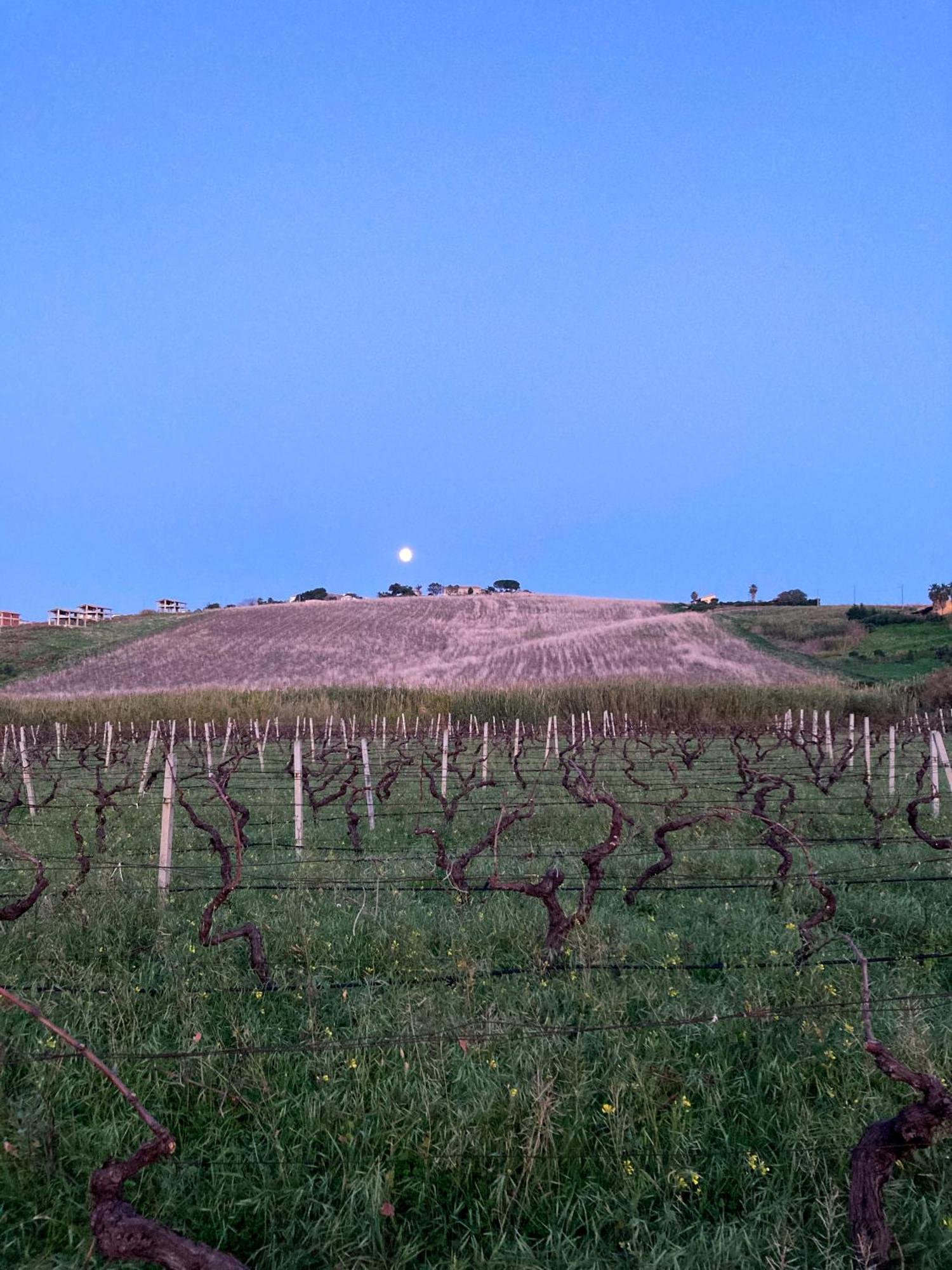 Fattoria Manostalla Villa Chiarelli Balestrate Exteriör bild
